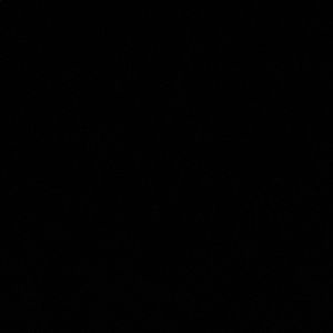 Meet your Posher, Topanga